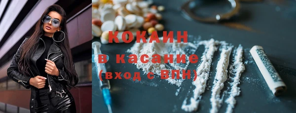 крисы Инта