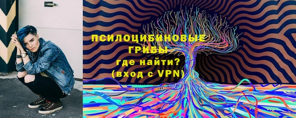 твердый Каменск-Шахтинский