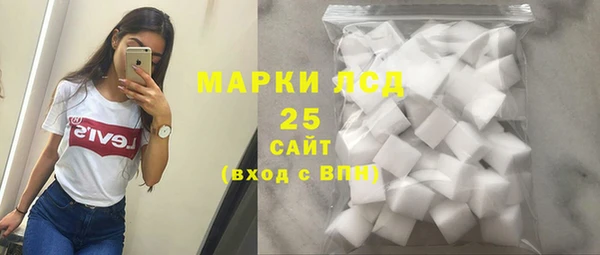 крисы Инта