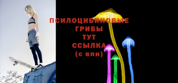 крисы Инта