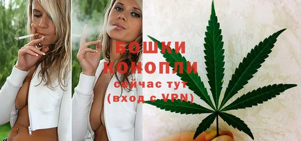 крисы Инта