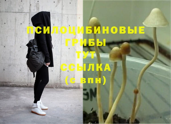 твердый Каменск-Шахтинский
