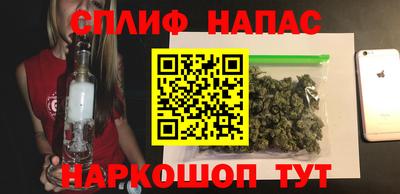 мдпв Гатчина