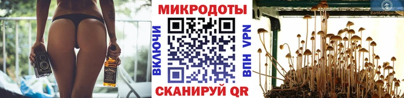 Псилоцибиновые грибы ЛСД Березники
